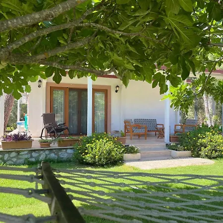 Luxury With Pool In *