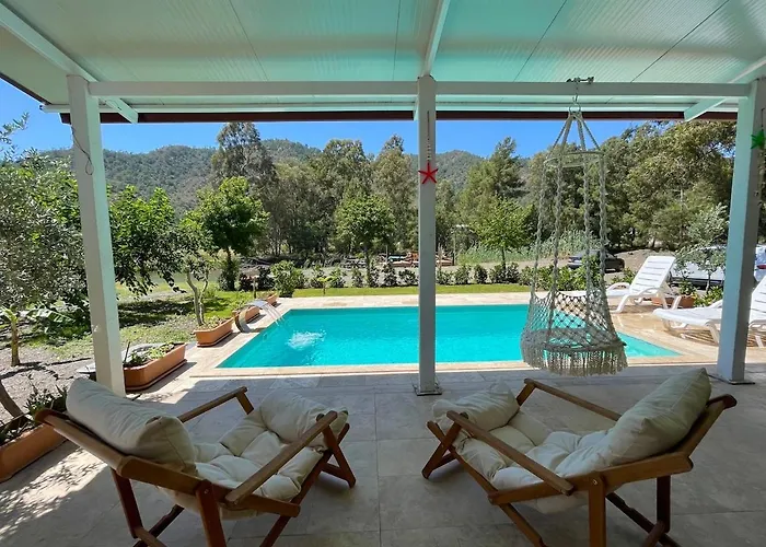 Luxury With Pool In