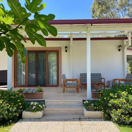 Luxury With Pool In Willa *