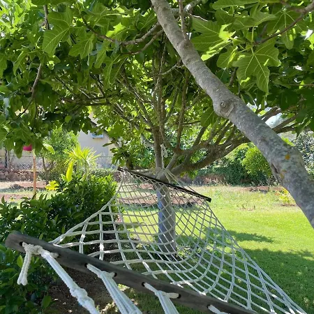 Willa Luxury With Pool In